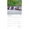 West Virginia Wild & Scenic | 2026 12 x 24 Inch (Hanging) Monthly Square Wall Calendar | Plastic-Free